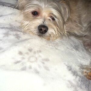 Meet your Posher, Natasha